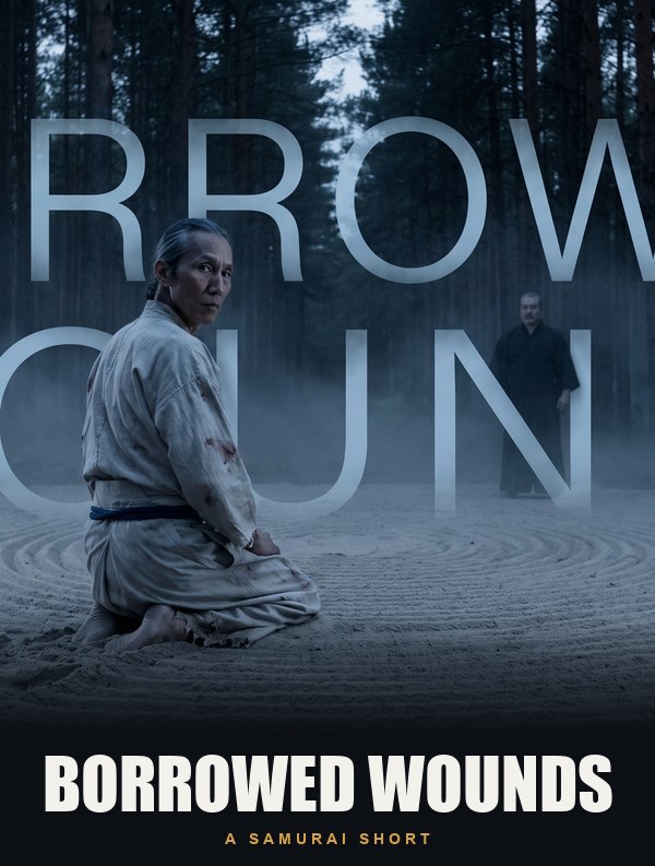 Borrowed Wounds poster